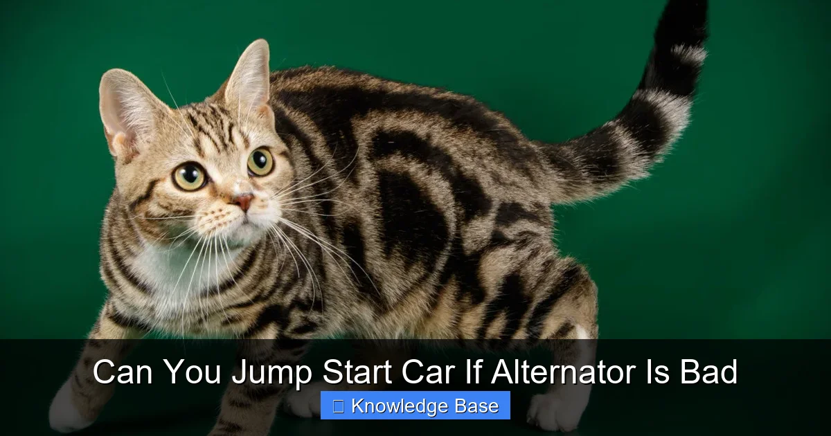 Can You Jump Start Car If Alternator Is Bad
