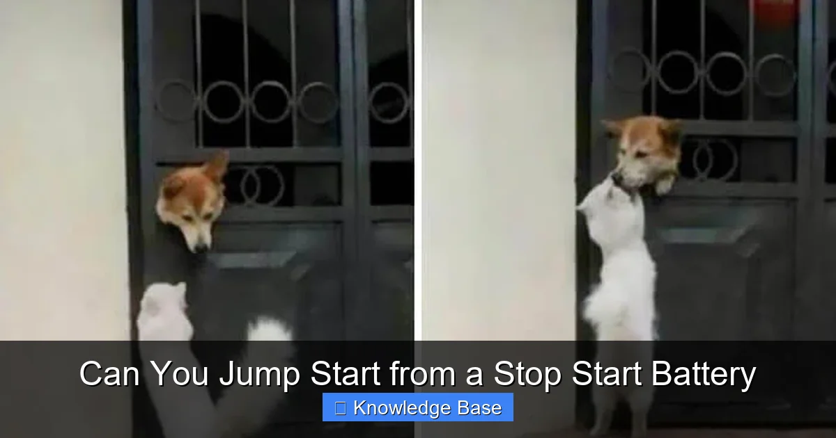 Can You Jump Start from a Stop Start Battery