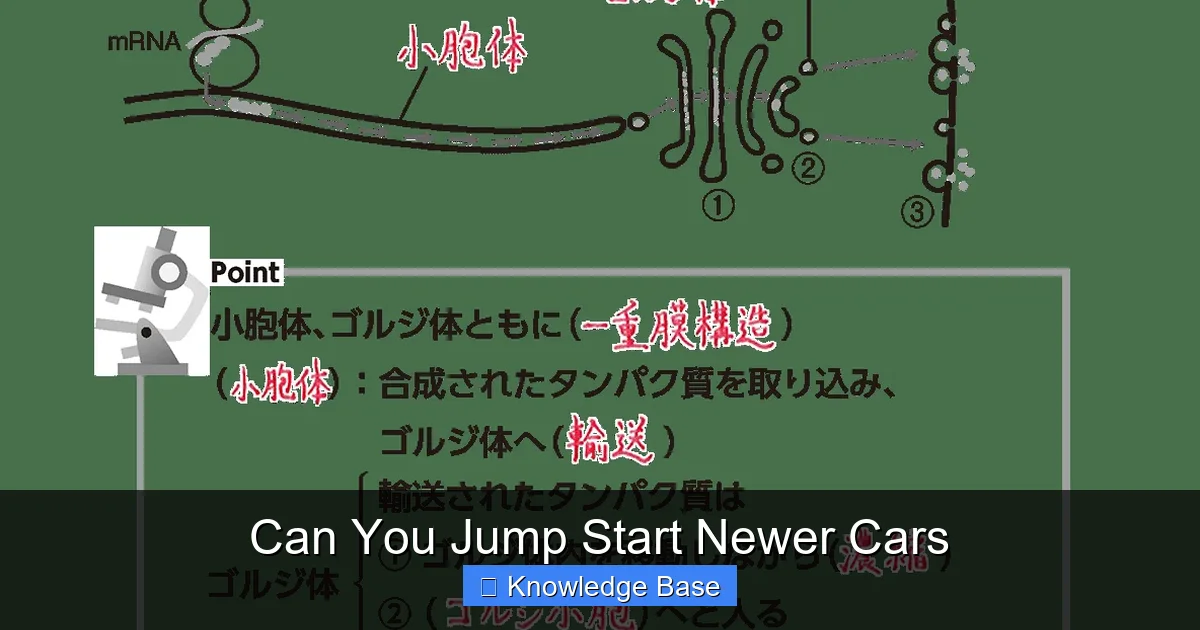 Can You Jump Start Newer Cars