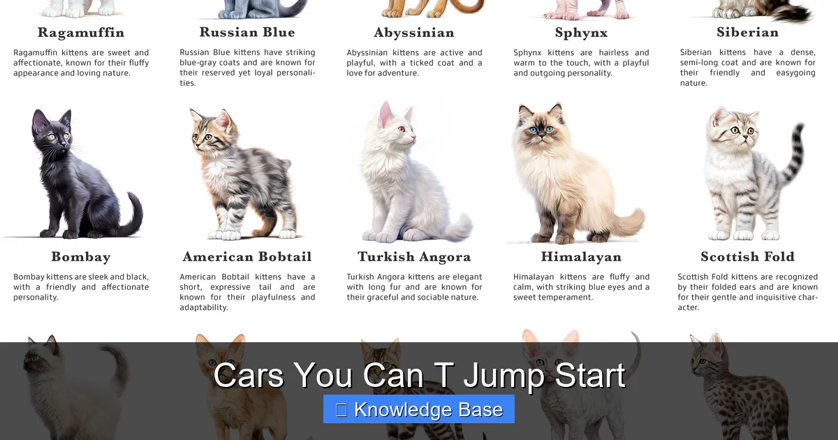 Cars You Can T Jump Start