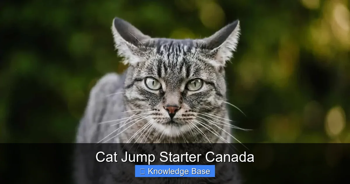 Cat Jump Starter Canada