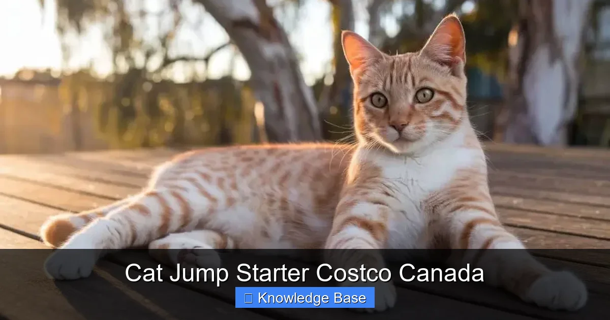 Cat Jump Starter Costco Canada