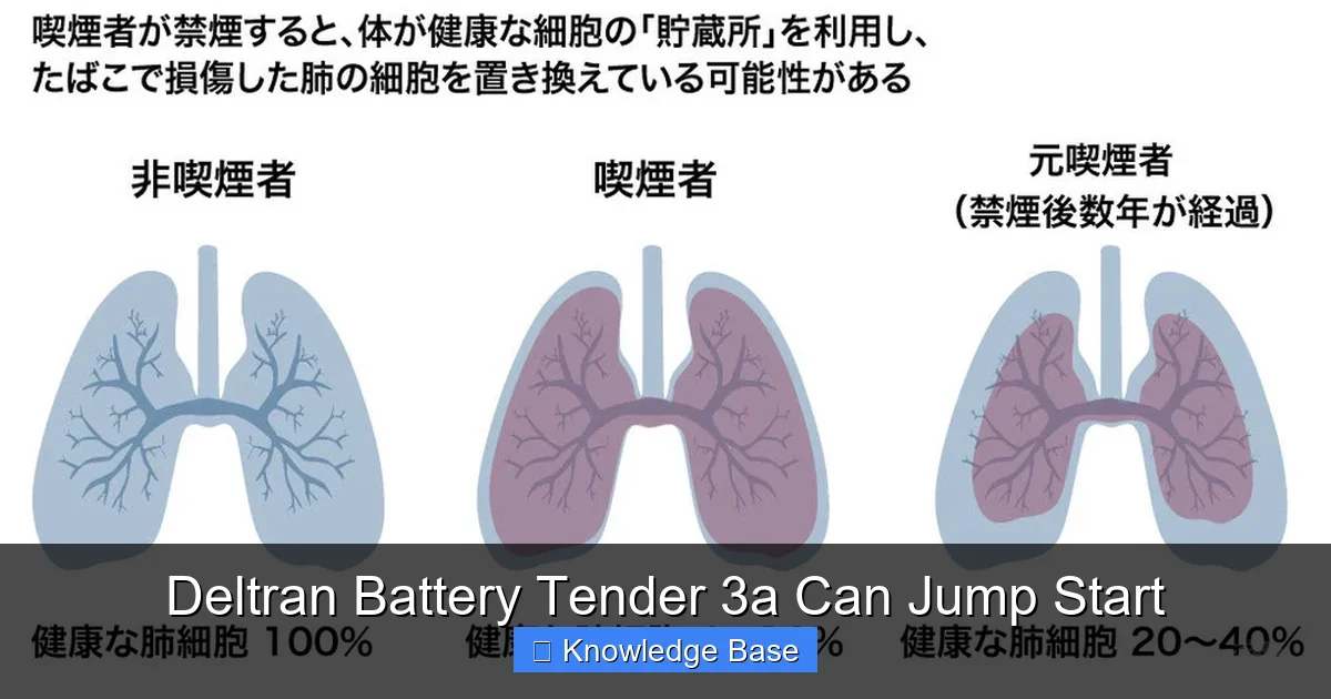 Deltran Battery Tender 3a Can Jump Start