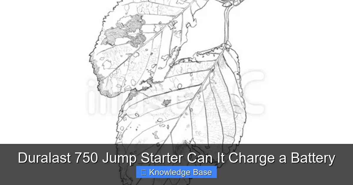 Duralast 750 Jump Starter Can It Charge a Battery