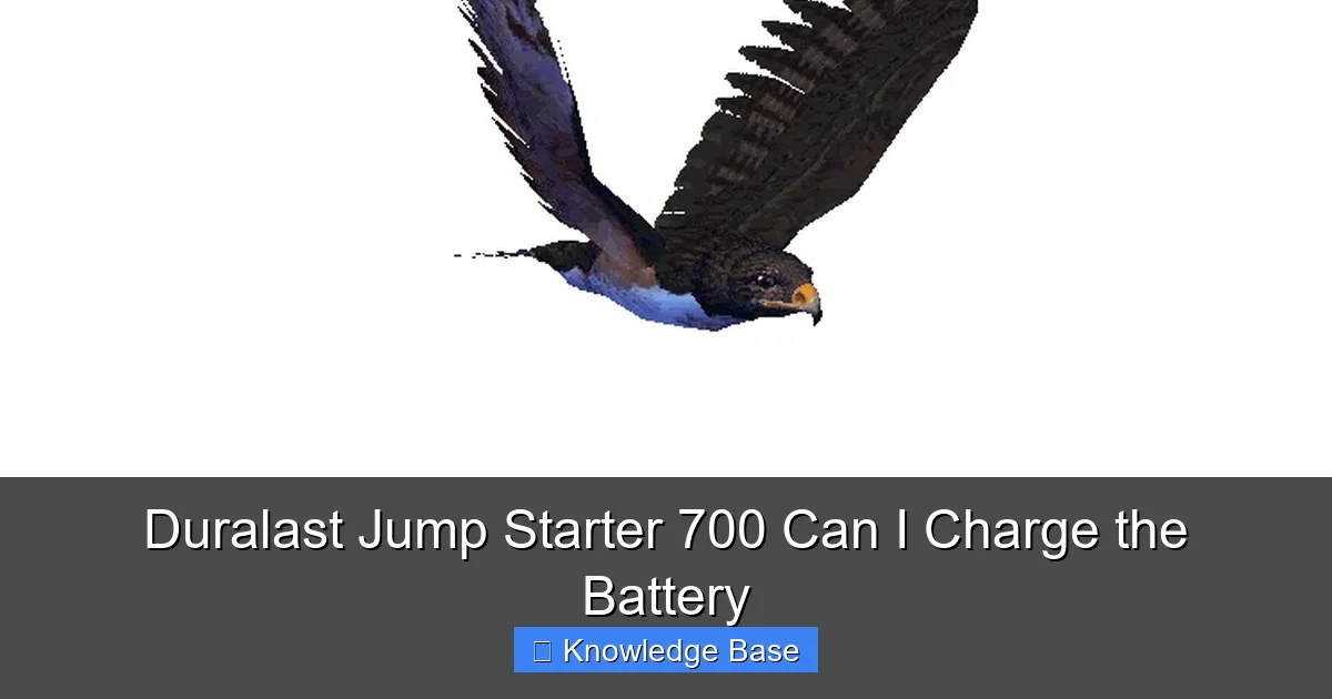 Duralast Jump Starter 700 Can I Charge the Battery