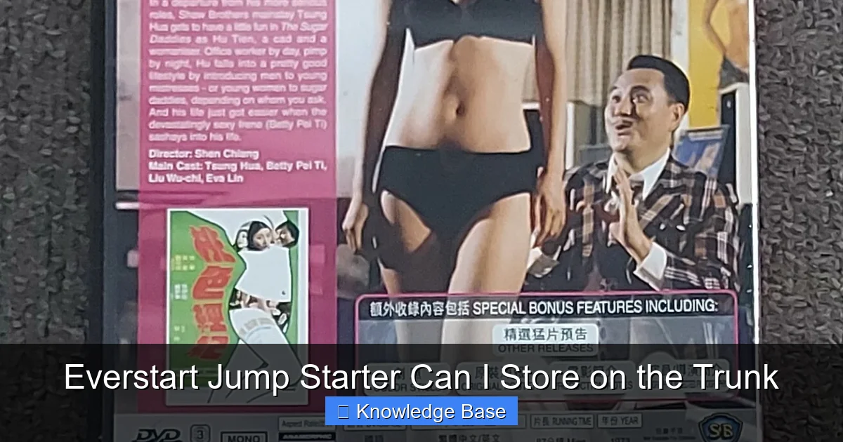 Everstart Jump Starter Can I Store on the Trunk