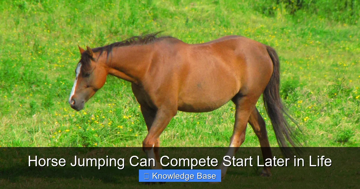 Horse Jumping Can Compete Start Later in Life