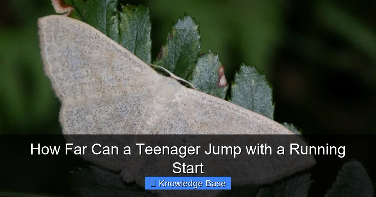 How Far Can a Teenager Jump with a Running Start