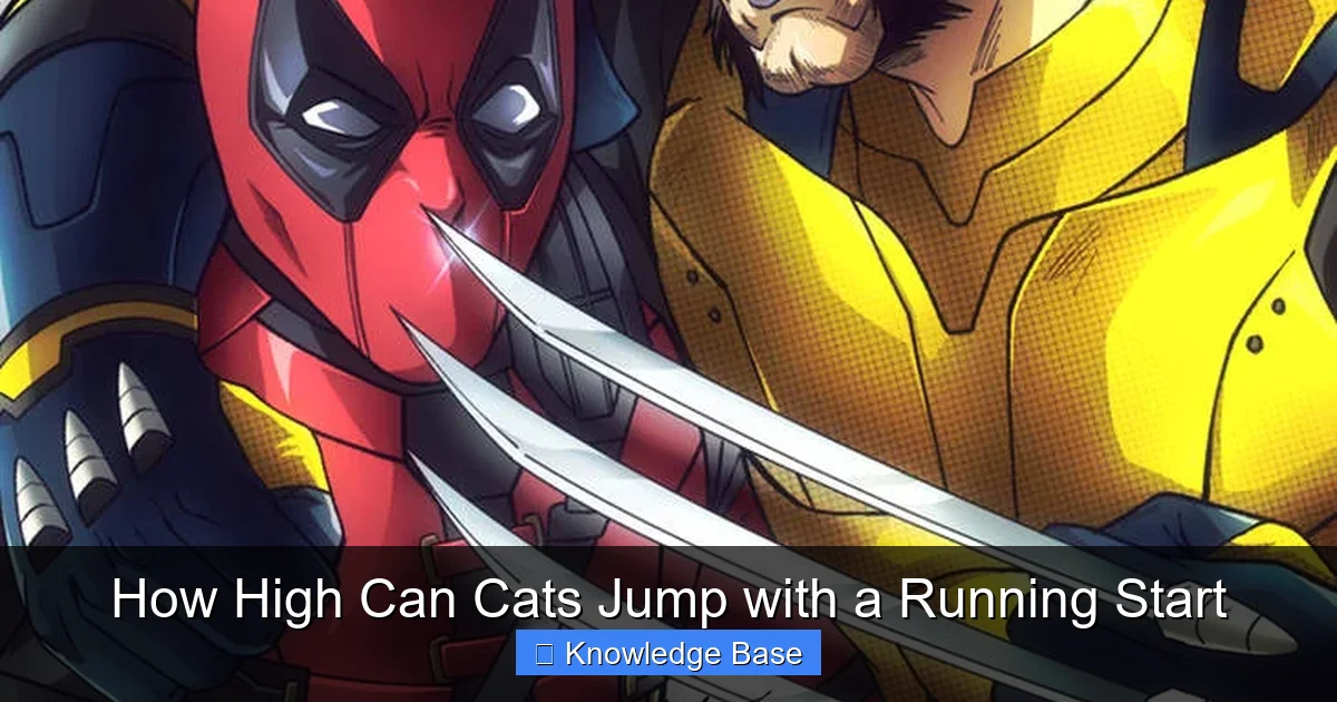 How High Can Cats Jump with a Running Start