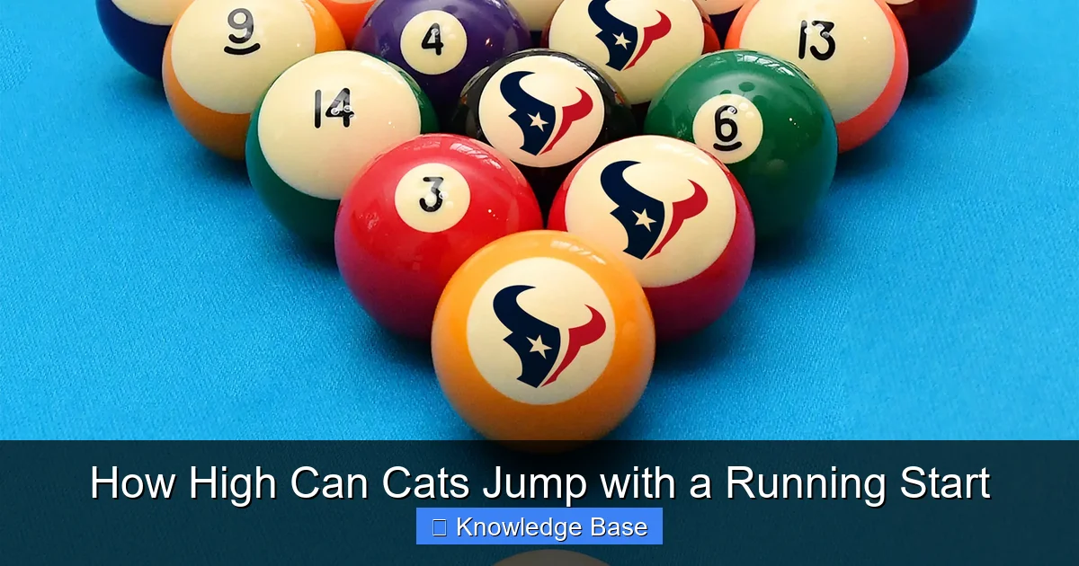 How High Can Cats Jump with a Running Start