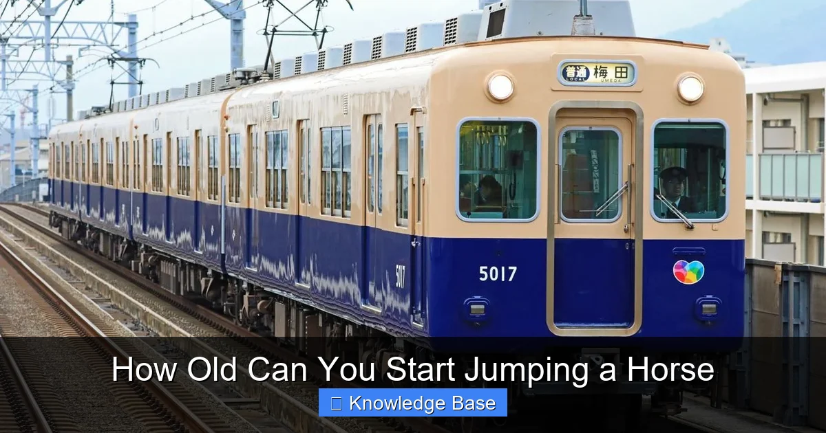 How Old Can You Start Jumping a Horse