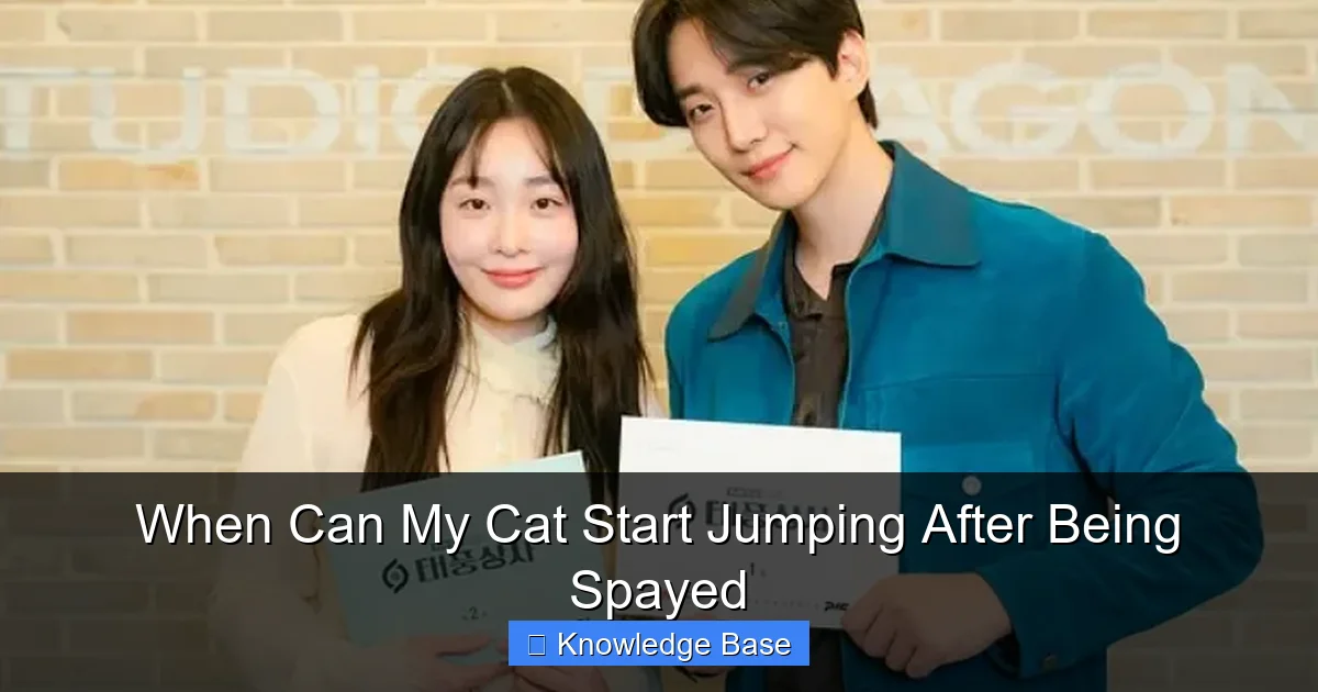 When Can My Cat Start Jumping After Being Spayed